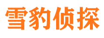 德城市私家侦探